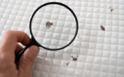 Plamy z krwi na materacu – skuteczne i bezpieczne metody usuwania