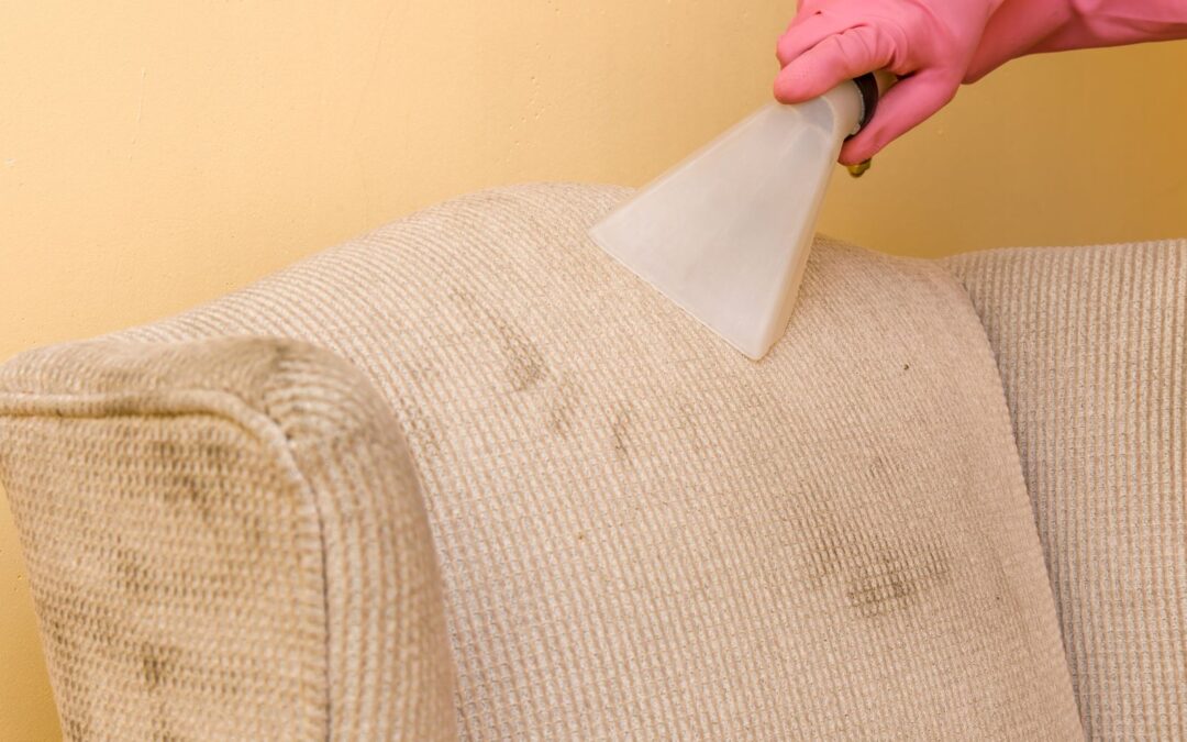 Czy plamy mogą wnikać głębiej niż myślisz? Zabrudzenia tapicerki pod mikroskopem